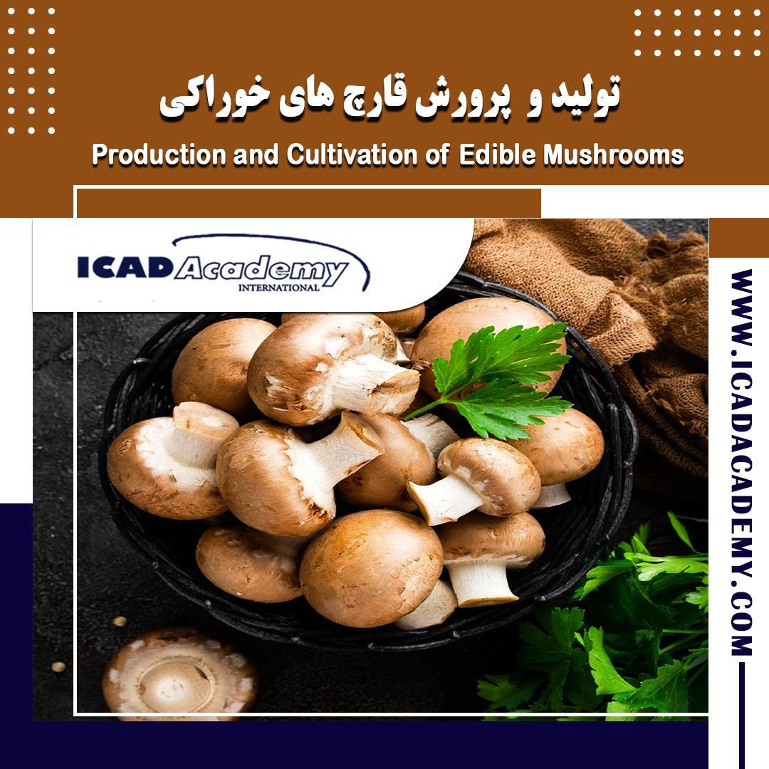 تولید و پرورش قارچ های خوراکی